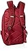 OGIO International Soho Pack, Wine, One Size