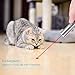 FZR Legend Rechargeable Cat Laser Pointer,Pet Dogs Interactive Toy with 3 Modes - Red Focused Light, UV, Flashlight | ON/Off Switch,USB Charging Cable | Great for Pet Exercise and Training （2 Pack）