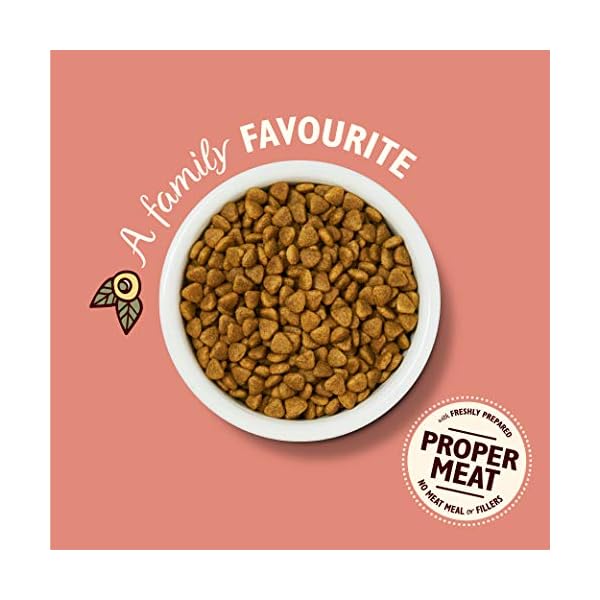 Lilys-Kitchen-Chicken-Casserole-Complete-Adult-Dry-Cat-Food-2-kg Lily's Kitchen Chicken Casserole Complete Adult Dry Cat Food (2 kg) (Packaging may vary)