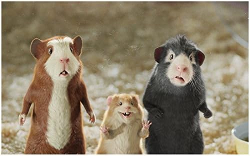 G Force 2009 8 Inch X10 Inch Photo Bucky Between Darwin