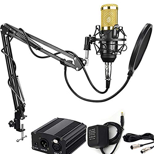 Professional Studio Condenser Microphone Computer PC Microphone Kit with 3.5mm XLR/Pop Filter/Scissor Arm Stand/Shock Mount for Professional Studio Recording Podcasting Broadcasting