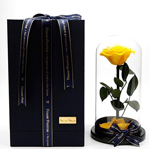 The rose gift box,Eternal flower glass or glass ornaments Flowers Artificial flowers Christmas day Decoration Send to your girl friend-D