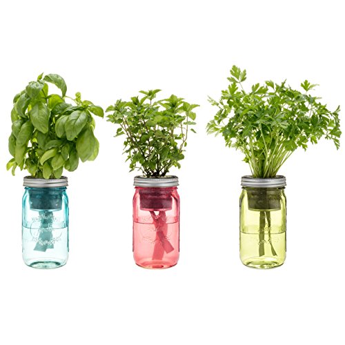 Kitchen Herb Kit â€“ Three Self-watering Indoor Planters with Organic Basil, Organic Parsley, and Non-gmo Mint Seeds.
