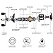 Goture Baitcasting Reel,/Carbon Fiber Drag 22LB/18LB 7.1:1/6.3:1 Gear Ratio Magnetic Brake/Dual-Brakes System