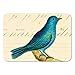 Cavallini & Co. Birds Magnet Set