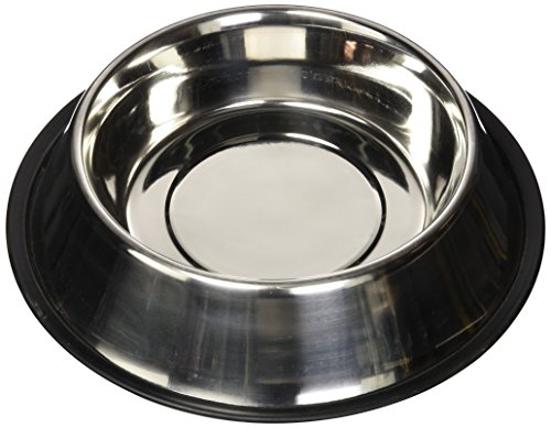 QT Dog Non-Tip Anti-Skid Stainless Steel Bowl, 2 Quart