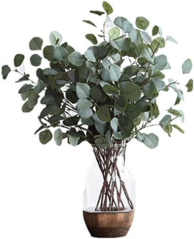 Artificial Silver Dollar Eucalyptus Leaf Spray in Green Leaves Indoor Outside Home Garden Office Wedding Décor(6 Stems)
