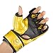 Cheerwing MMA Boxing Gloves Kickboxing Gloves
