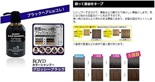Amazon ロイド カラーシャンプー ヘアートリートメント カバー キープ 各300ml セット ブラック ロイド シャンプー コンディショナーセット 通販