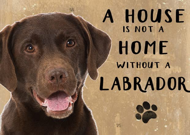 Small (150 x 200mm) Metal Sign - A House is Not a Home - Chocolate Labrador