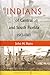 Indians of Central and South Florida, 1513-1763 (Florida Museum of Natural History: Ripley P. Bullen Series)