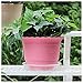CandyHome 6 Pieces of 10 Inch Plastic Clear Plant Saucers Pot Trays for Indoor Outdoor Household and Garden Assorted, 1-White