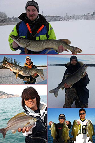 Dream Travel Artificial Fishing Lure Bait 5PCS 7 Sections Multi Jointed Lifelike Swimbait Lures Hard Crank Baits Hooks