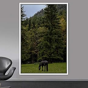 signwin Framed Canvas Wall Art Horse Animals Dramatic...