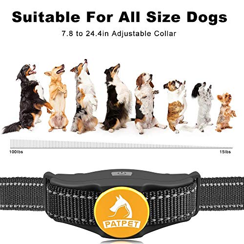 Patpet Dog Training Collar Not Pairing at Gregory Clark blog