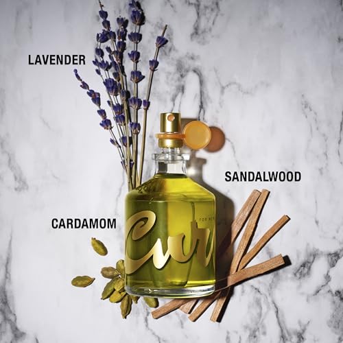 Curve Men's Cologne Fragrance Spray, Spicy Wood Magnetic Scent for Day or Night, 6.8 Fl Oz