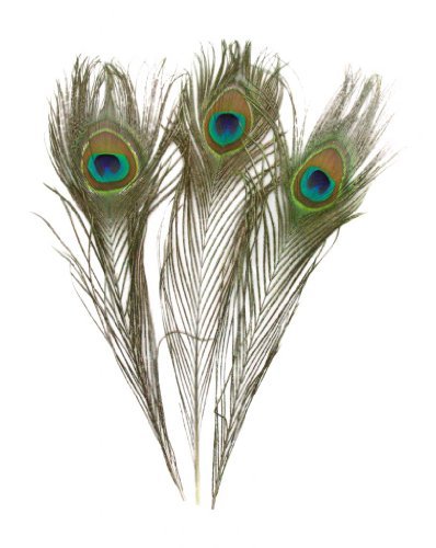 Femitu Pack of 30pc Natural Peacock Feathers 10-12''