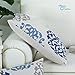 CaliTime Canvas Pillow Cover Case for Couch Sofa Home Decoration Three-Tone Floral Compass Geometric 12 X 20 Inches Blue/Gray