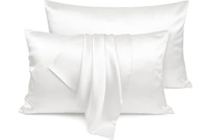 LULUSILK Queen Silk Pillow Cases 2 Pack with Hidden Zipper, 100 Pure Mulberry Silk Pillowcases for Hair and Skin, Ivory