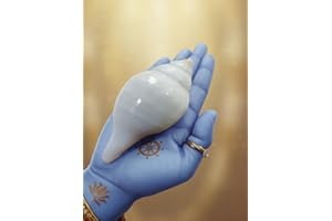 IDAHA Natural Non-Blowing Puja Shankha Jal SankhaPani Wala Shankh Original White Conch Shell for Daily Pooja, Aarti & Abhishe