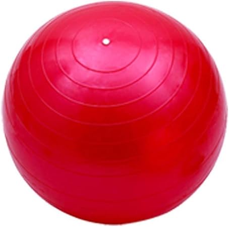 LILIJD Balones De Ejercicio Balones De Estabilidad Bolas Anti ...