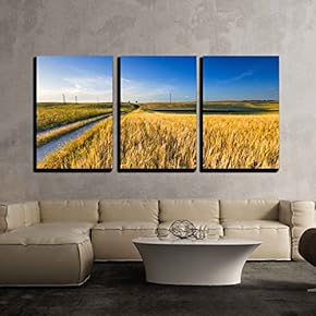 3 Piece Canvas Wall Art - Sunset Over Cereal Field with Grown Up Ears. Beautiful Rural Countryside Landscape. - Modern Home Art Stretched and Framed Ready to Hang - 16"x24"x3 Panels