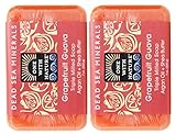 One With Nature Grapefruit Guava Soap