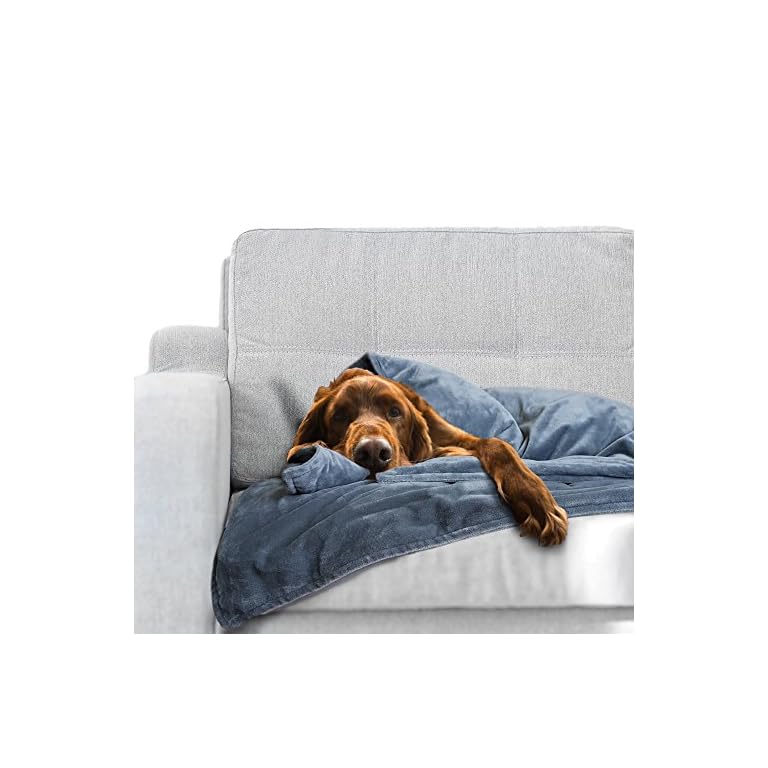 Weighted Dog Anti Anxiety Blanket Wrap For Stress Relief and Calming