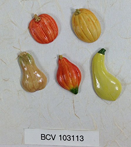 SQUASH ASSORTMENT - Flat back ceramic - Pack of 5