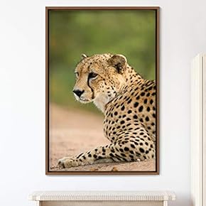 signwin Framed Canvas Wall Art Cheetah Animals Cheetah...