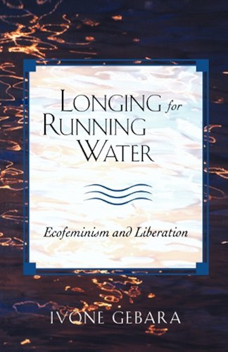 Download Longing for Running Water: Ecofeminism and Liberation (Biblical Reflections on Ministry) (English Edition) PDF