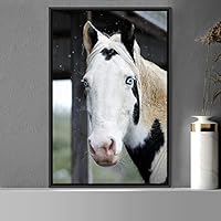 Framed Canvas Wall Art Horse Animals Dramatic Farmhouse/Country Horse Living Room Multicolor Photography - 16x24 inches