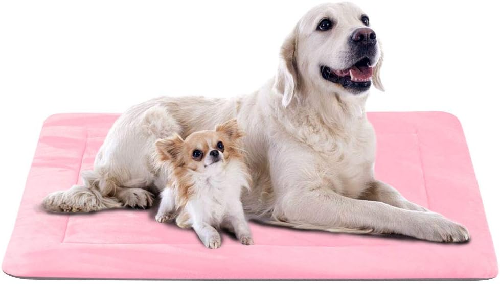Best pink orthopedic dog furniture