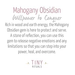 Tiny Rituals MAHOGANY OBSIDIAN ENERGY BRACELET
