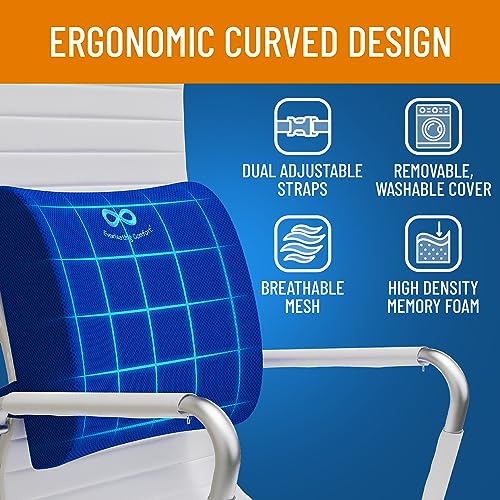 Everlasting Comfort The Original Lumbar Support Pillow Improves