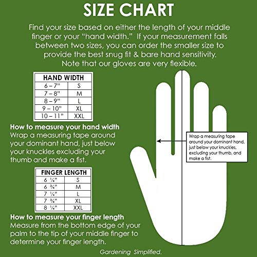 6 Pine+Tree+Tools+Sensitivity+Restoration