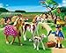 Playmobil Paddock with Horses and Foal