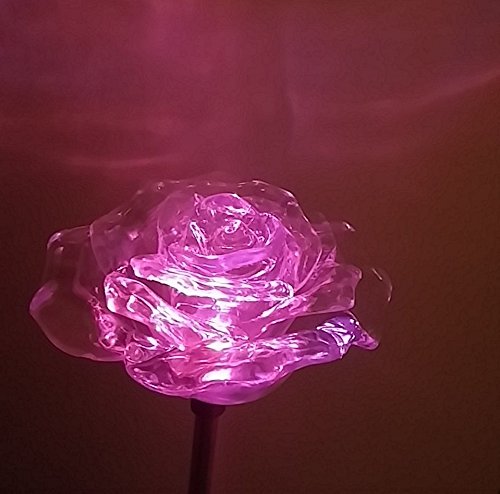 image for Beautiful Solar Clear Rose Light , Multi-color Color Changing Flower G