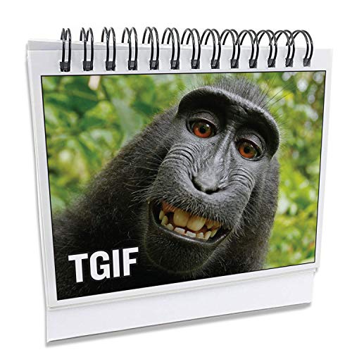 3 Coworkers+Hilarious+Accessories+Everyone+Business