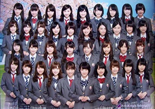 Amazon Co Jp 乃木坂46 High School Card Boxシリアル入り応募券 プレゼント商品 D賞 メンバー全員集合ポスター パズルカード 全40枚 コンプリート ホビー 通販