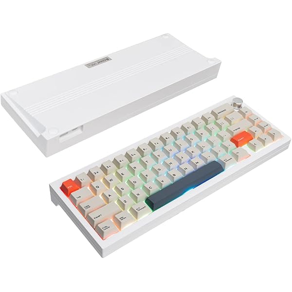 Amazon.com: EPOMAKER CIDOO V65 V2 Gaming Keyboard DIY Kit with 