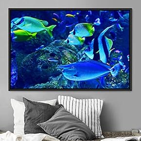 signwin Framed Canvas Wall Art Jellyfish Floating Colorful...