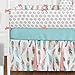 Sweet Jojo Designs 9-Piece Feather Baby Girls Crib Bedding Set with Bumper