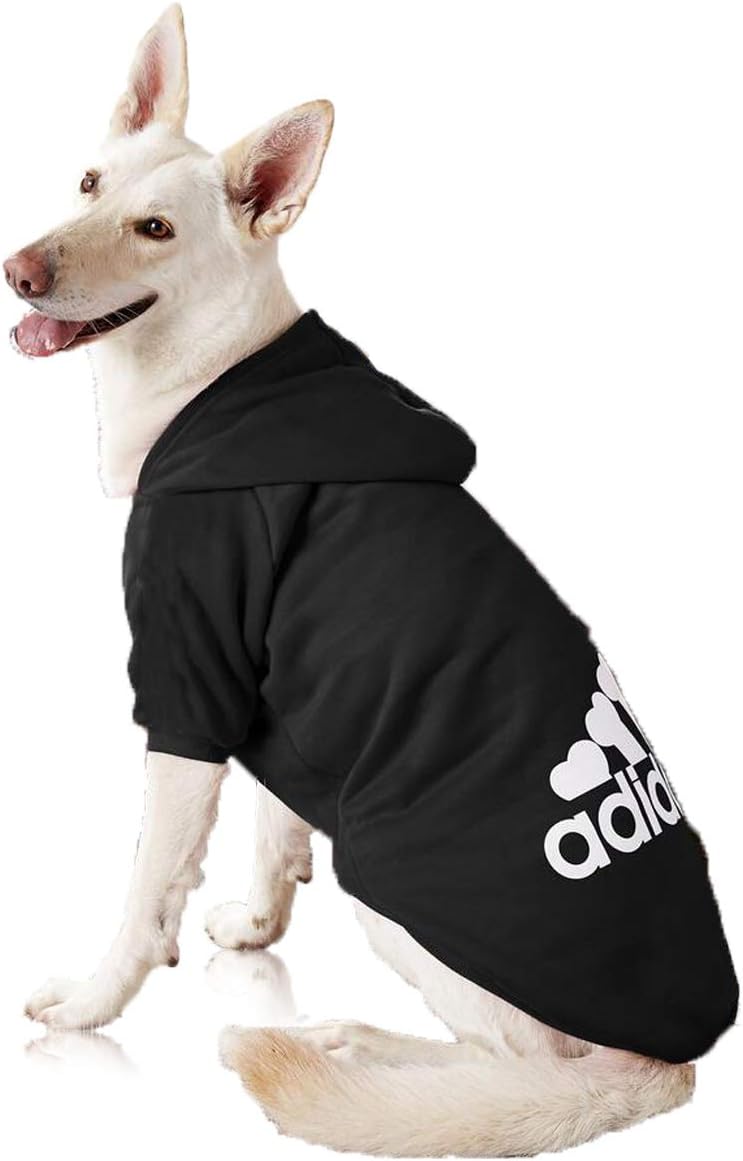 adidog sweater