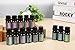 Aromatherapy Oils 100% Pure Basic Essential Oil Gift Set by Wasserstein (Top 14, 10ml)