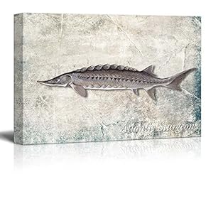 Brown Atlantic Sturgeon Fish Illustration on a Textured Background