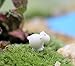 BeautyMood Miniature Fairy Garden Herd of Sheeps, Set of 6