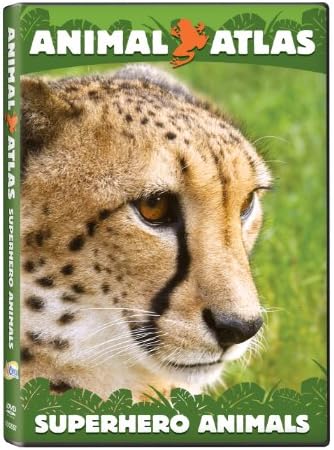 Amazon.com: Animal Atlas: Family Time : Artist Not Provided