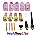 WeldingCity TIG Welding Torch Accessory Kit for Gas Lens Setup .040