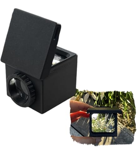 Amazon.com : Panasonic LUMIX Live View Finder for Lumix GX1 | DMW
